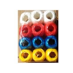 [TEAUR001] RAFIA x 12 und